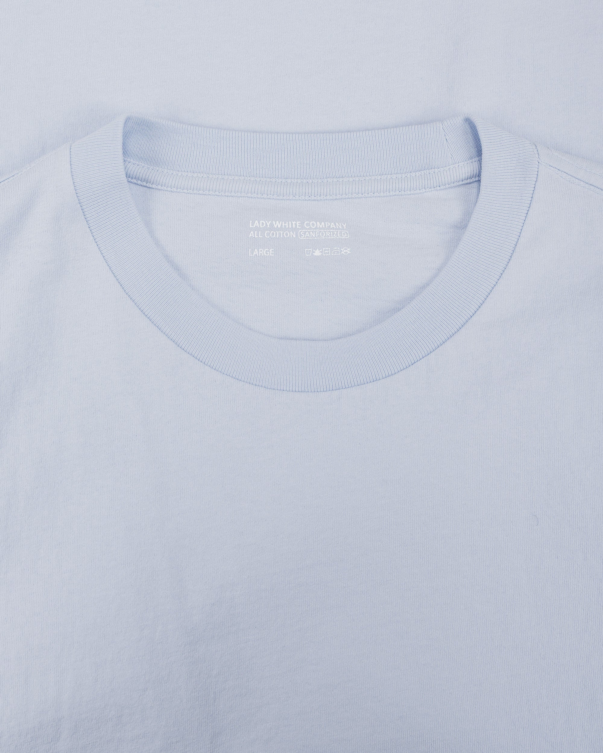 Lady White Co. Municipal T-Shirt Pale Blue - Image 4