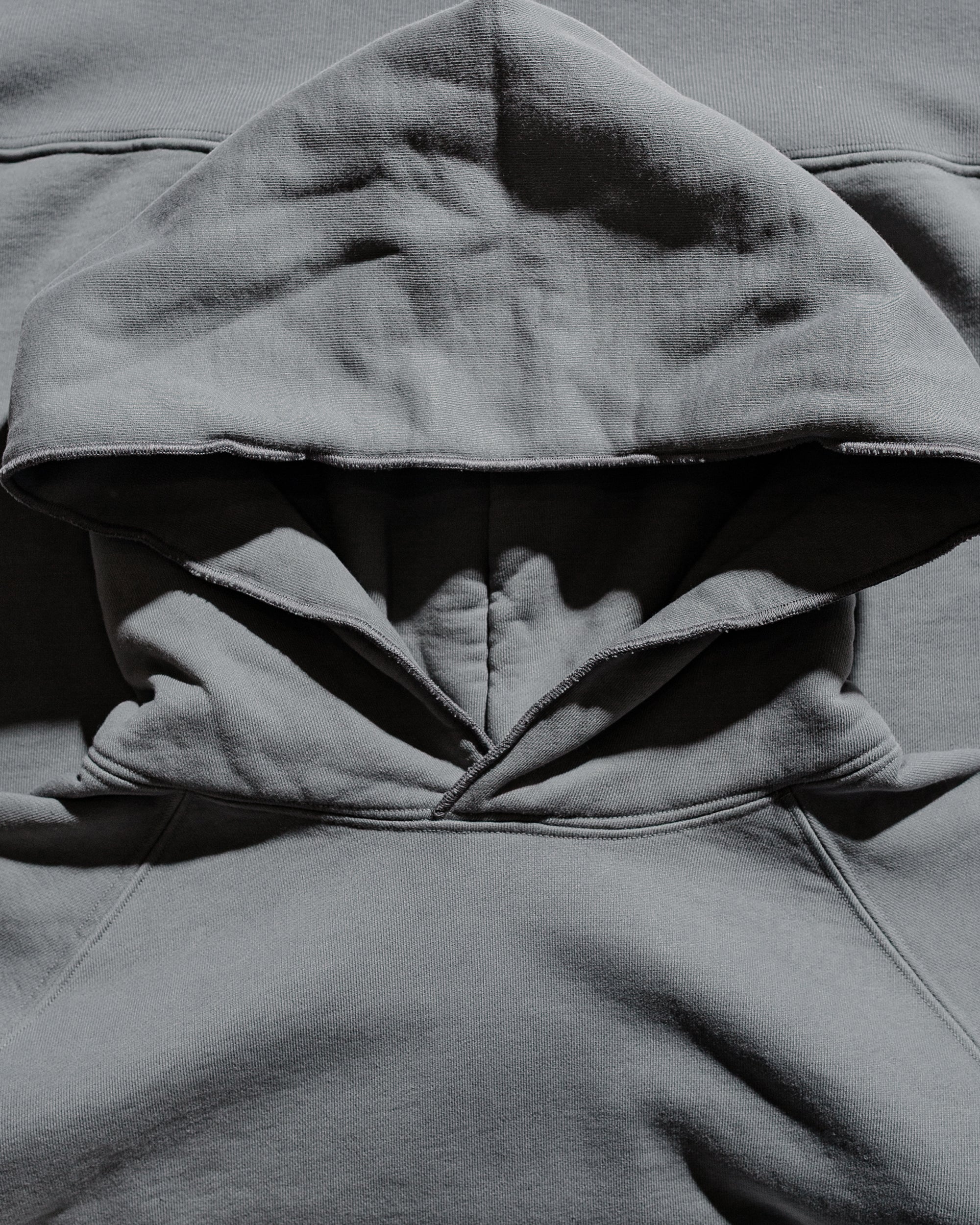 Lady White Co. Super Weighted Hoodie Kelp - Image 5