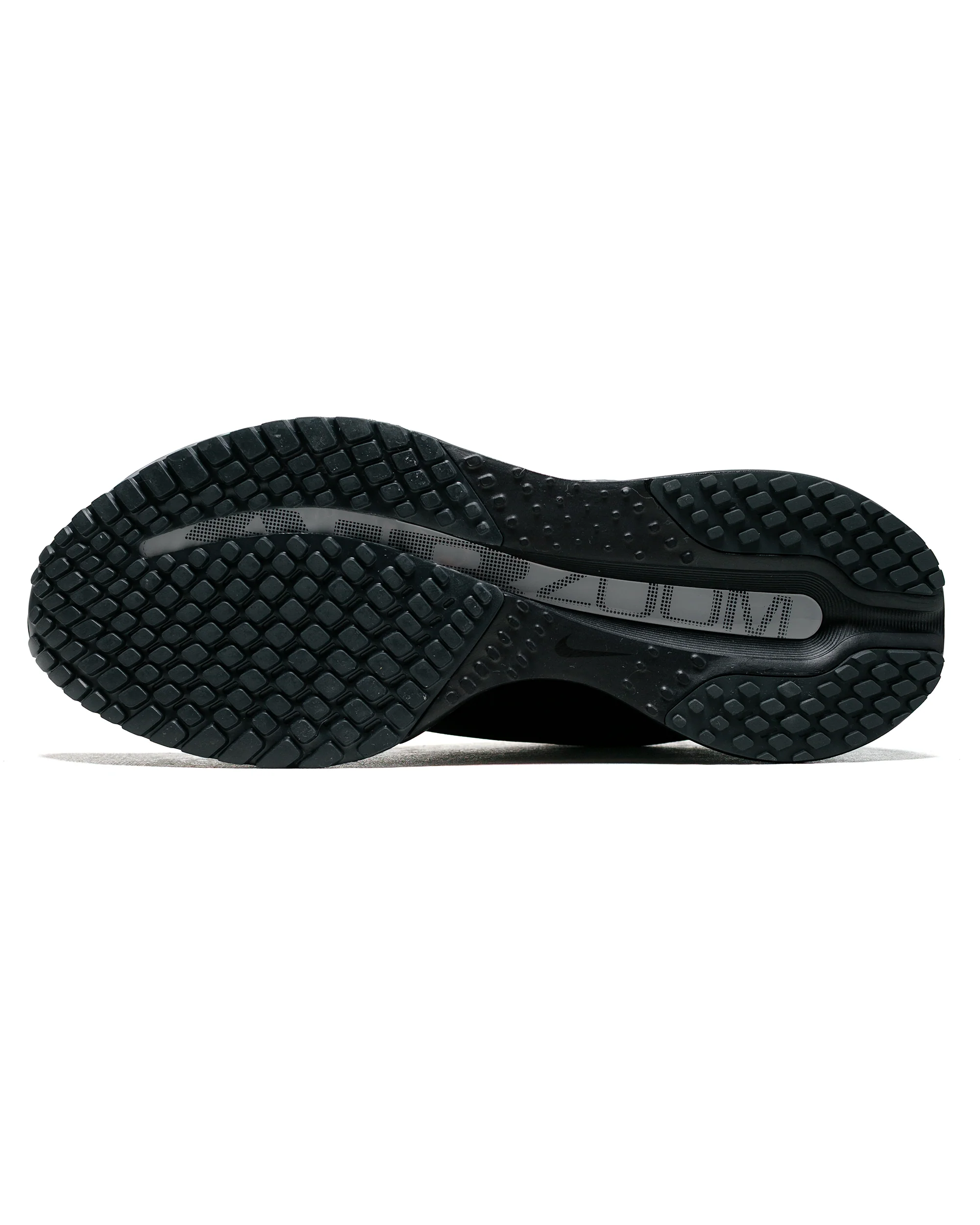 Nike Pegasus Premium SP Black/Metallic Silver - Image 5