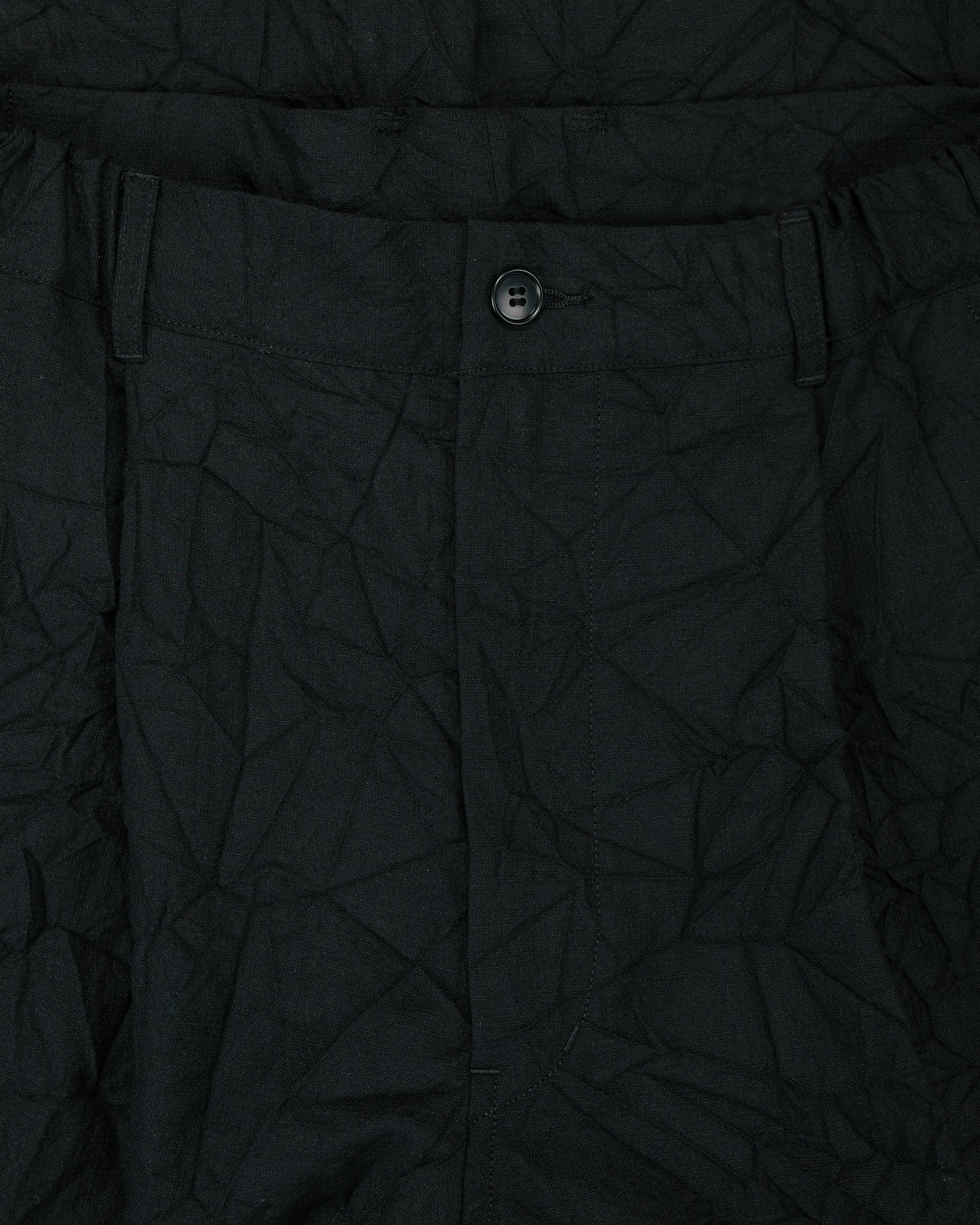 Sage de Cret WO/LI Crinkle Single Pleated Wide Pants Black - Image 5