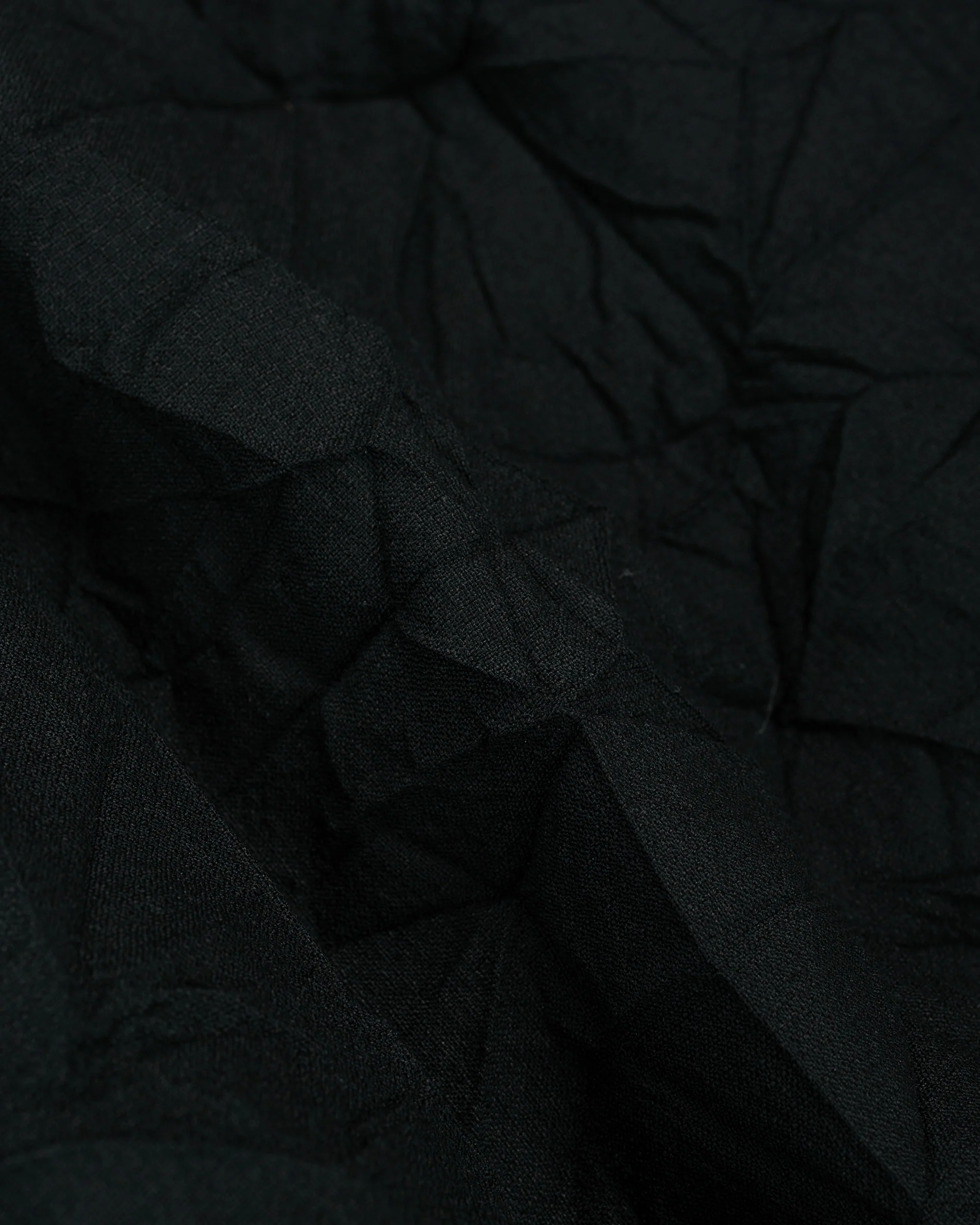 Sage de Cret WO/LI Crinkle Single Pleated Wide Pants Black - Image 6