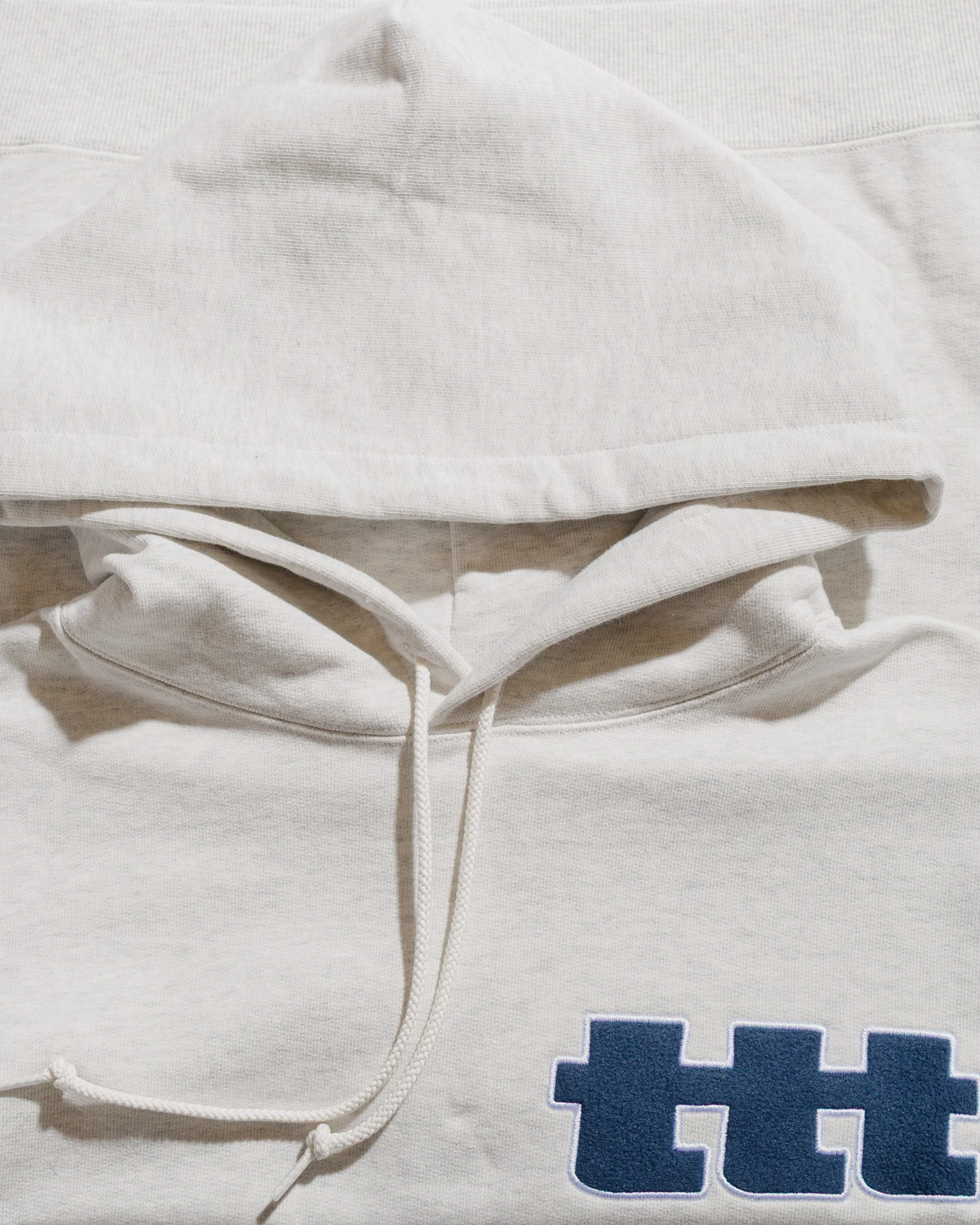 TTT MSW Logo Hoodie Ash - Image 5